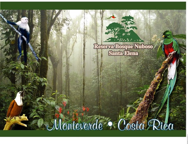 Santa Elena Cloud Forest Tour